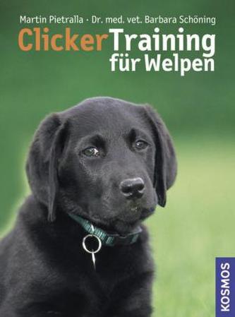 Clickertraining für Welpen