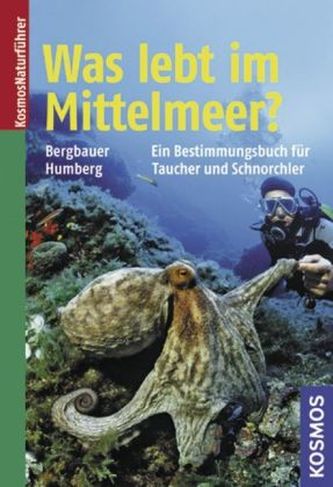 Was lebt im Mittelmeer?