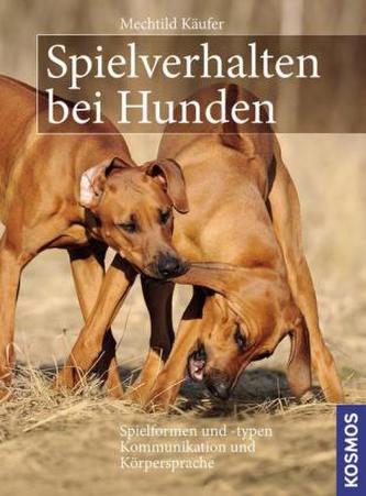 Spielverhalten bei Hunden