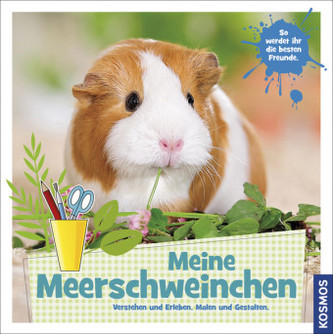 Meine Meerschweinchen