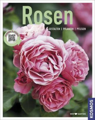 Rosen