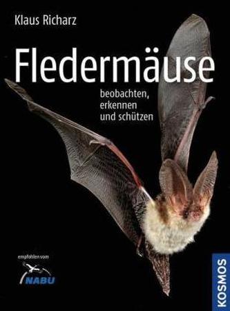 Fledermäuse