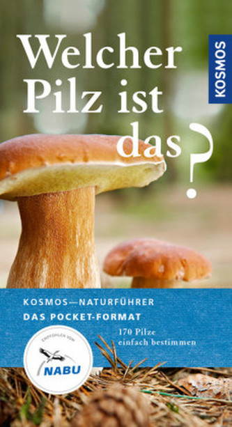 Welcher Pilz ist das?