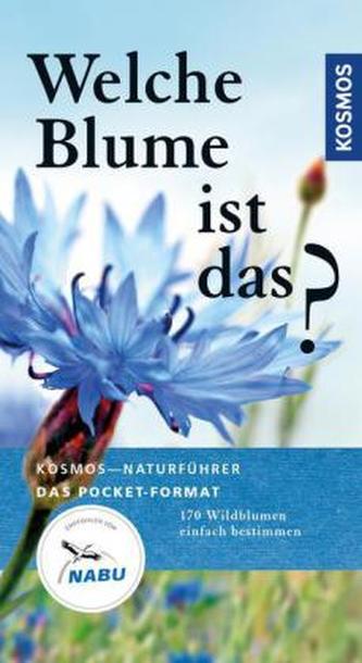Welche Blume ist das?