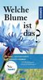 Welche Blume ist das?