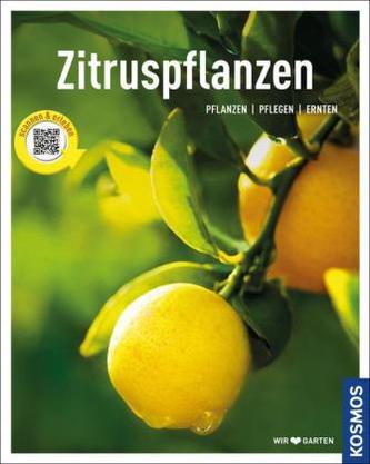 Zitruspflanzen