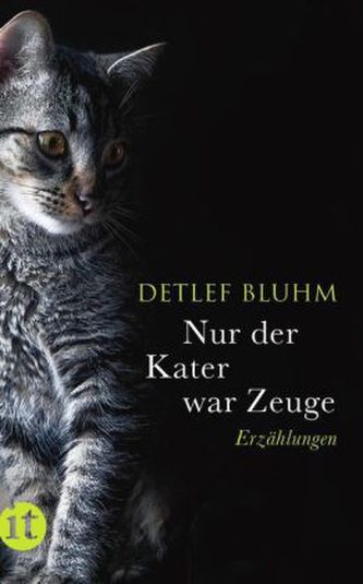 Nur der Kater war Zeuge