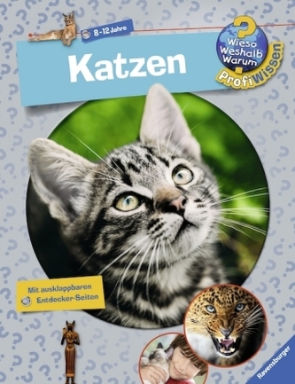 Katzen