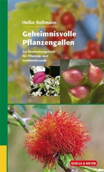 Geheimnisvolle Pflanzengallen