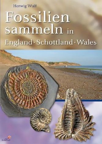 Fossilien sammeln in England - Wales - Schottland