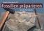 Fossilien präparieren