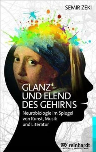 Glanz und Elend des Gehirns
