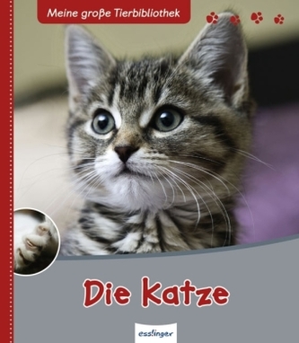 Die Katze