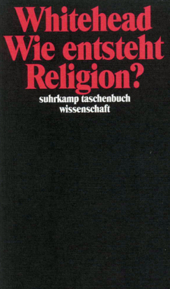 Wie entsteht Religion?
