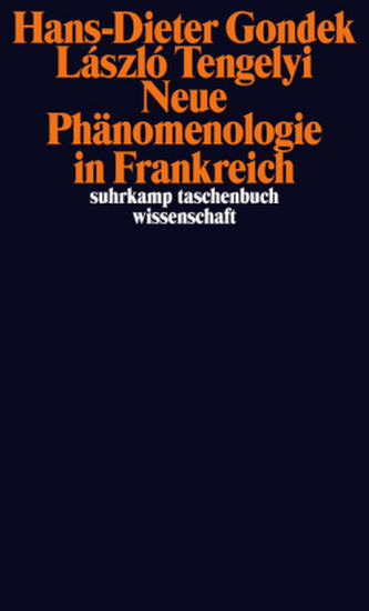 Neue Phänomenologie in Frankreich