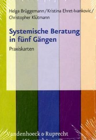 Systemische Beratung in fünf Gängen, 26 Praxisktn.