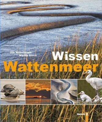 Wissen Wattenmeer
