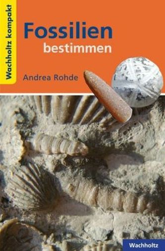Fossilien bestimmen