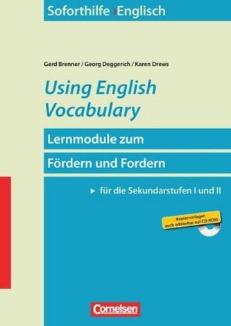 Using English Vocabulary, m. CD-ROM