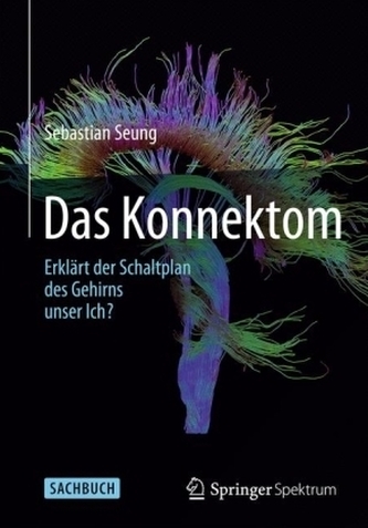 Das Konnektom