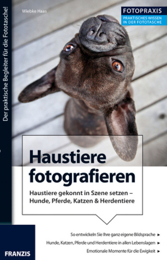 Haustiere fotografieren