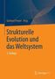 Strukturelle Evolution und das Weltsystem