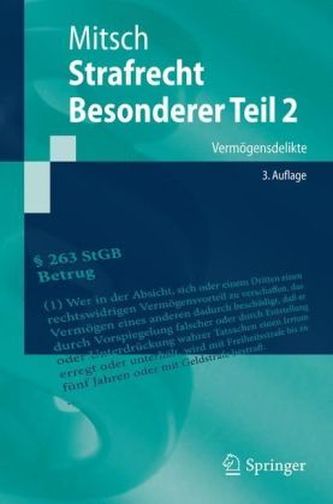 Strafrecht, Besonderer Teil 2. Tl.1