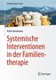 Systemische Interventionen in der Familientherapie