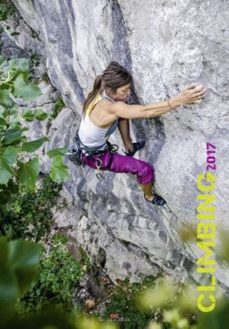 Climbing 2017