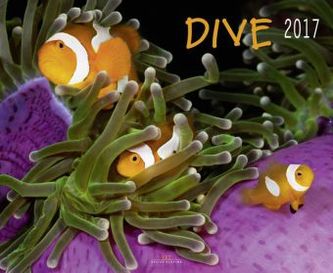 Dive 2017
