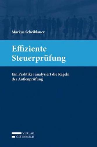 Effiziente Steuerprüfung (f. Österreich)