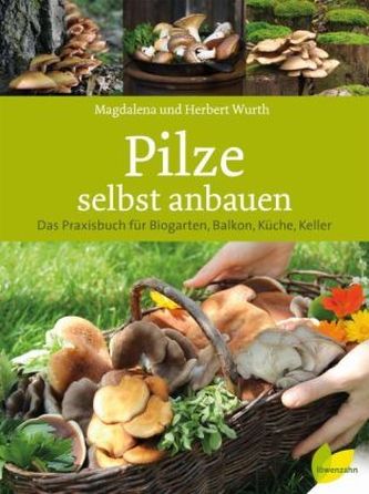 Pilze selbst anbauen