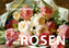 Postkartenbuch Rosen