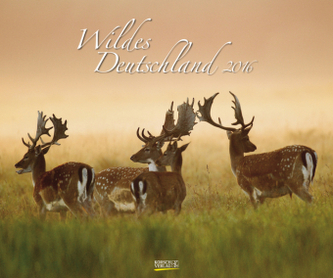 Wildes Deutschland 2016