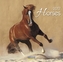 Horses 2017
