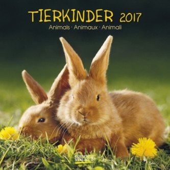 Tierkinder 2017