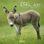 Esel 2017