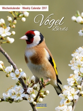 Vögel 2017