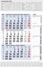 3-Monats-Planer Combi Blau 2017