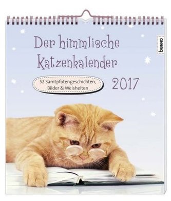 Der himmlische Katzenkalender 2017