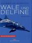 Wale und Delfine