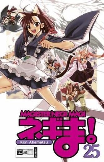 Magister Negi Magi. Bd.25