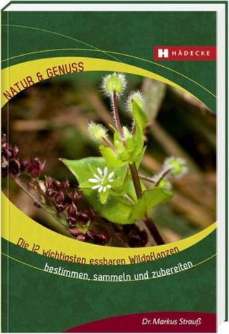 Die 12 wichtigsten essbaren Wildpflanzen bestimmen, sammeln und zubereiten