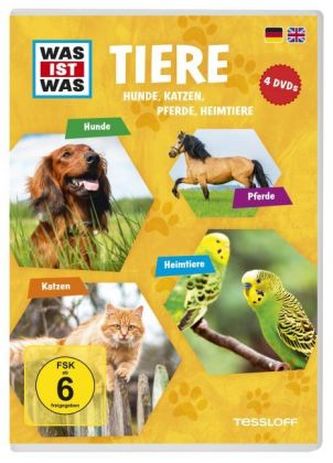 Tiere - Hunde, Katzen, Pferde, Heimtiere, 4 DVDs