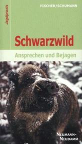 Schwarzwild