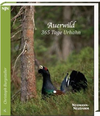 Auerwild - 365 Tage Urhahn