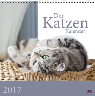 Der Katzenkalender 2017