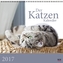 Der Katzenkalender 2017