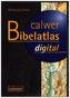 Calwer Bibelatlas digital, 1 CD-ROM