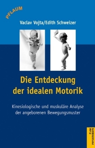 Die Entdeckung der idealen Motorik